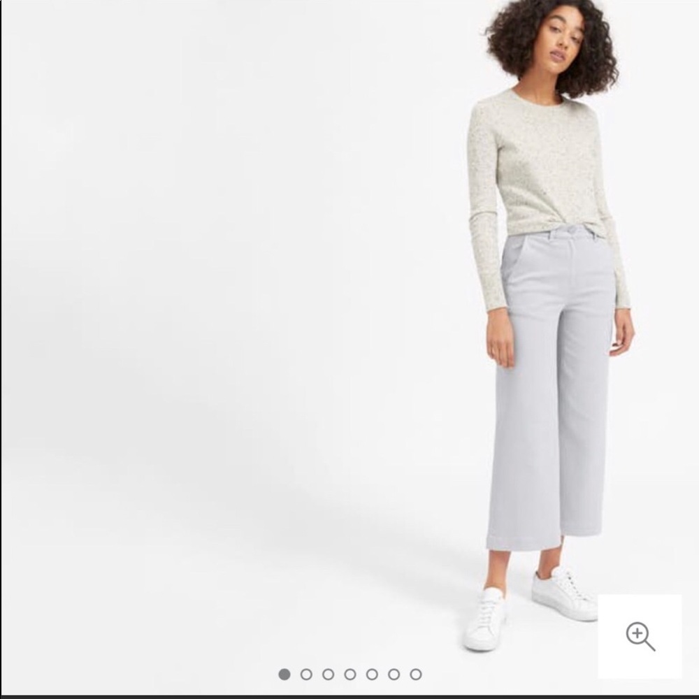 Everlane Wide Leg Crop Pant